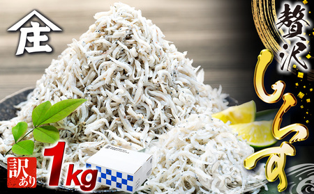 しらす 1kg 訳あり ｼﾗｽｼﾗｽｼﾗｽ