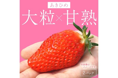 【京丹後産いちご章姫】農園直送便！新鮮大粒いちご 2パック ギフト箱入り／北畿水産