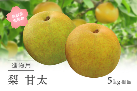 甘太［梨］（進物用5kg箱）2025年9月下旬出荷予定＜数量限定＞