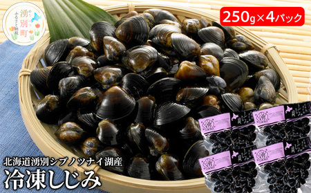 【国内消費拡大求む】北海道湧別シブノツナイ湖産  冷凍しじみ250g×4パック シジミ 貝 