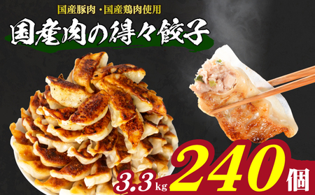 訳あり 国産肉の得々餃子240個 餃子餃子餃子餃子餃子 IB