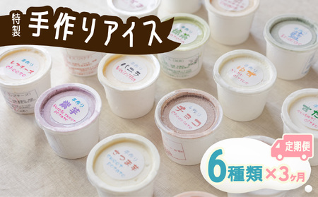 [定期便連続3か月]海陽町特製アイス ユニークな味6種類セット!