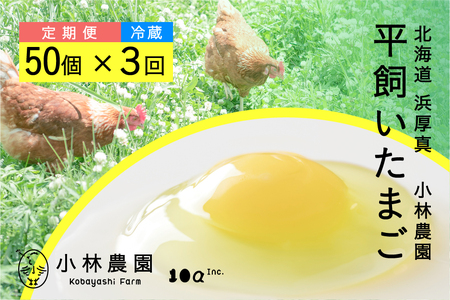 【3ヵ月定期便】平飼い有精卵 50個 計150個 冷蔵便 卵定期便 卵定期便 卵定期便 [AXAN001]