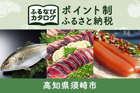 [有効期限なし!後からゆっくり特産品を選べる]高知県須崎市カタログポイント