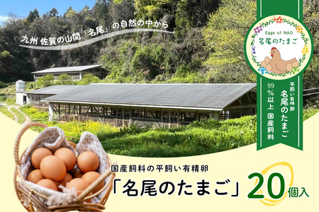 国産飼料の 平飼い 有精卵 「名尾のたまご」 20個入  たまご 卵 玉子 タマゴ 生卵 新鮮 目玉焼き ゆでたまご 卵焼き 平飼い平飼い平飼い平飼い：B100-045