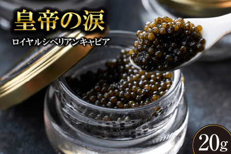 【純国産キャビア】ロイヤルシベリアンキャビア 20g 皇帝の涙 国産 チョウザメ 魚卵 宮崎県