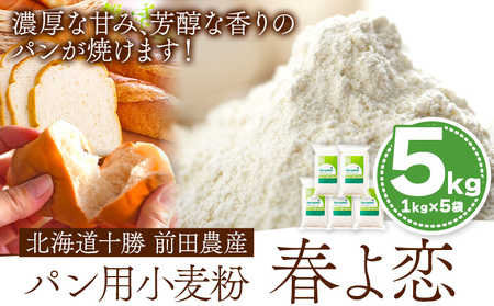 北海道十勝 前田農産パン用小麦粉「春よ恋」5kg(1kg×5袋) 有限会社 十勝太陽ファーム 送料無料《60日以内に出荷予定(土日祝除く)》小麦粉小麦粉小麦粉小麦粉小麦粉