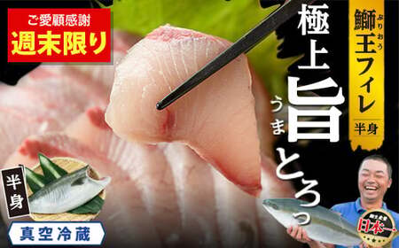 【6月27日～6月30日 限定ご愛顧感謝寄付金額】鰤王新物フィレ 14000円→12000円 鰤王新物 14000円→12000円 『旅サラダ』で紹介ぶりの王様 新物 「 鰤王 」 フィレ 半身 (約1.0kg・フィレ1枚) 産地直送 新鮮 旨味が抜群の 長島町 特産品 ブランド ぶり 鰤 ブリ 切り身 真空 冷蔵 刺身 ぶりしゃぶ しゃぶしゃぶ 魚 魚介 人気 ランキング 【JFA】jfa-1481-C