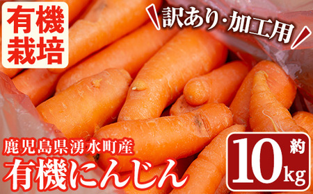y161 ≪訳あり・数量限定≫湧水町産有機にんじん(約10kg) 国産 九州産 鹿児島 有機野菜 有機栽培 にんじん 人参 ニンジン キャロットジュース 野菜 やさい おかず 旬 わけあり 訳アリ 不揃い 規格外 期間限定 数量限定 オーガニック 健康[そのやま農園]
