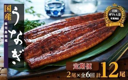 [定期便]おおさきうなぎ鹿児島県産うなぎ長蒲焼2尾(全6回)合計12尾 | 鰻 かばやき ウナギウナギウナギウナギウナギウナギウナギウナギ