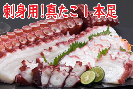 【北海道根室産】真たこ1本足 1～1.3kg A-19004
