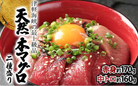 天然本マグロ中トロ&赤身二種盛り