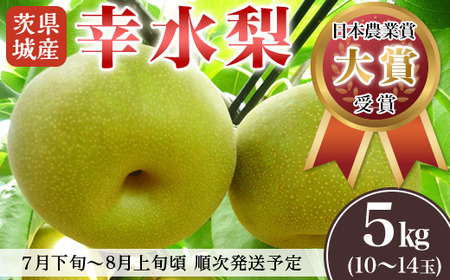 [先行予約]茨城県産「幸水梨」約5kg[2025年8月上旬〜8月中旬にかけて発送予定][ 梨 幸水 こうすい 果物 フルーツ 国産 季節限定 幸水 梨 人気 贈り物 お取り寄せ 梨 デザート 梨 幸水 ]