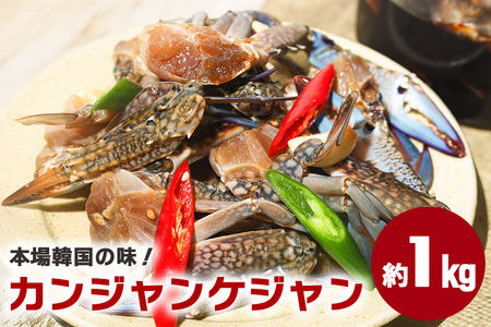 本場韓国の味！手作りカニキムチ 醤油（カンジャンケジャン） AF-001