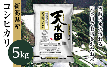 27-51C新潟県黒川産コシヒカリ5kg[天水田]