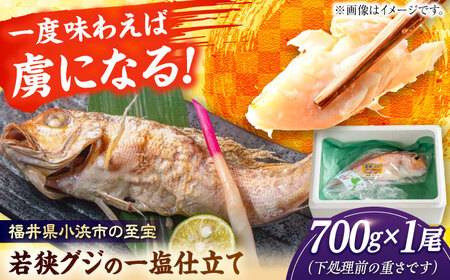 若狭グジの一塩仕立て 700g×1尾  小浜市 / まるほ商店 [BFCS003] 【配送不可地域：北海道・沖縄・離島】 