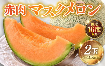 【先行予約】赤肉パリスメロン 秀品 2玉（1.5kg以上×2玉）【アールス系赤肉メロン】《糖度16度程度！1株1果採りで育てる高級メロン！》／ 果物 フルーツ 農家直送 赤肉 マスクメロン アールスメロン ギフト 贈答用 ※2025年7月上旬より順次発送予定 [aw028-a003]