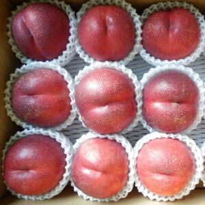 長野県中野市産スイートネクタリン　2kg(7～12玉)【配送不可地域：離島】【1295094】