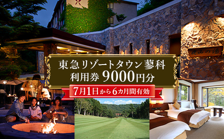 東急リゾートタウン蓼科利用券(1,000円分×9枚)2025年7月1日から6か月間有効チケット_旅行券・チケット   _【1421745】