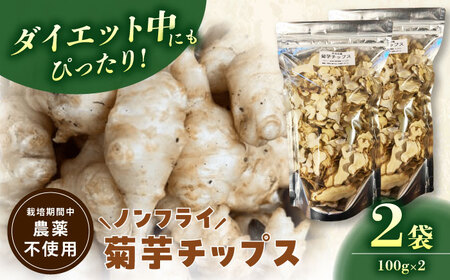 菊芋チップス 200g 乾燥菊芋 野菜チップス ノンフライ 多治見市 / 諏訪農林[TDO008]