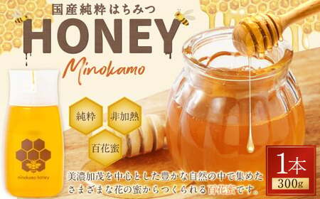 国産 無添加 MINOKAMO HONEY はちみつ （ 300g ）  | ハチミツ 蜂蜜 藤井養蜂 非加熱 百花蜜 たれにくい M06S25