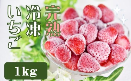 特別賞受賞！完熟冷凍いちご 1kg BabyBerryFarm　【 いちご 果物 いちご 苺 いちご 静岡いちご 冷凍いちご 】 