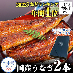 国産うなぎ蒲焼き大サイズ２本セット(B247-1)