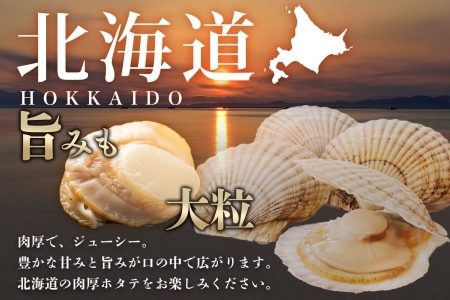 2942.ボイル ほたて 1kg ホタテ 2Lサイズ 大粒 帆立 魚介 海鮮 貝 お取り寄せ グルメ 贈り物 冷凍 送料無料 10000円 北海道 弟子屈町