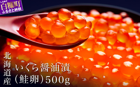 ＼高評価 4.9／ 極上の大粒いくら 500g ( 250g × 2 ) シラリカいくら（醤油味） 鮮度維持にこだわった極上品 いくら 醤油漬け 鮭卵 鮭いくら 小分け 海鮮 送料無料 人気 ランキング 北海道 白糠町 _K025-1036