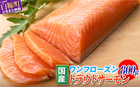 ＼高評価 4.9／ サーモン 国産 800g 小分け 刺身 カルパッチョ レア焼き 食べ方いろいろ 国産ワンフローズントラウトサーモン 海鮮 送料無料 人気 ランキング 北海道 白糠町_T011-1232