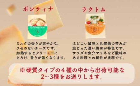 酪農館　チーズセット　チーズ 6個 生ハム 100g
