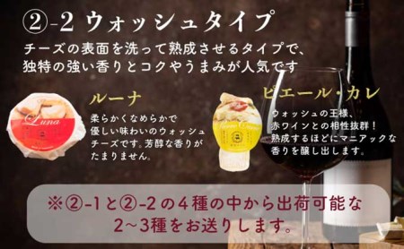 酪農館　チーズセット　チーズ 6個 生ハム 100g