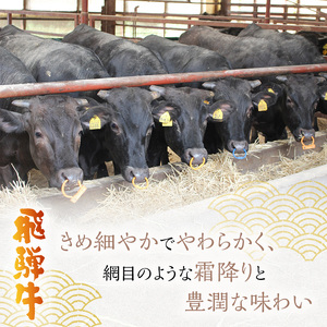 飛騨牛 岐阜県海津市産 すき焼き 切り落とし 500g 牛肉 すきやき お肉 冷凍 